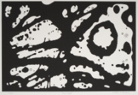 FAR EAST, from the Organic Works on Paper series