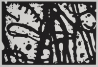 SPACE SMOKE #1, from the Organic Works on Paper series