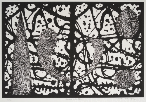 SPACE CHATTER, from the Organic Works on Paper series