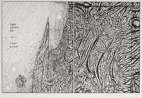 SIDE CASTLES, from the Organic Works on Paper series