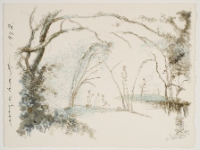 TREES - FRANCE