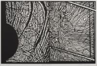 BLACK MOON, from the Organic Works on Paper series