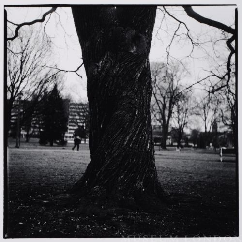 THE CASTLE: UNTITLED
