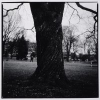 THE CASTLE: UNTITLED