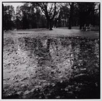 THE CASTLE: UNTITLED