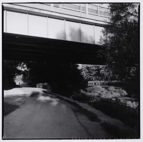 THE CASTLE: UNTITLED