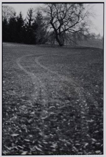 THE CASTLE: UNTITLED