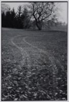 THE CASTLE: UNTITLED