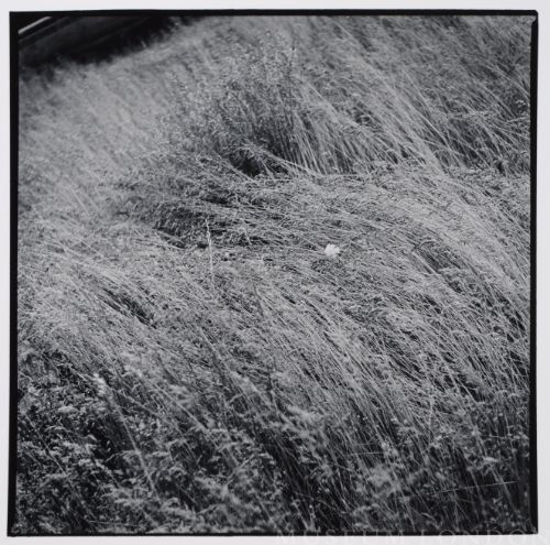 THE CASTLE: UNTITLED