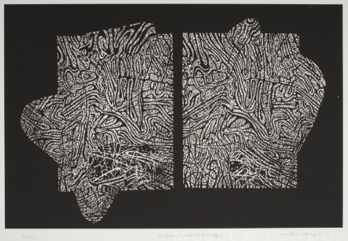 ORGANIC WALL AND DESIGN, from the Organic Works on Paper series
