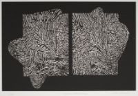 ORGANIC WALL AND DESIGN, from the Organic Works on Paper series