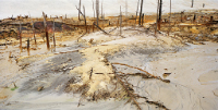 Uranium Tailings #9, Elliot Lake, Ontario, Canada