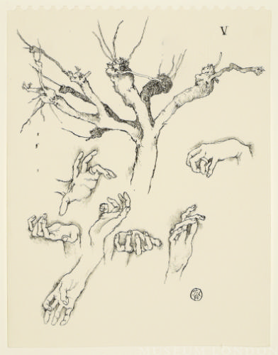 HANDS AND TREES V