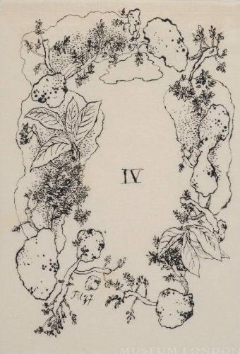 IV SPRING