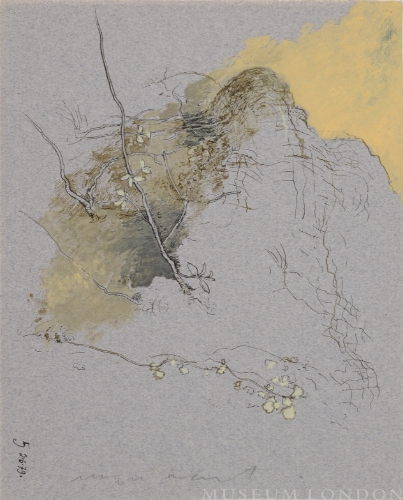 ROCK STUDY
