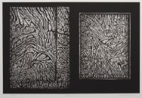 ORGANIC ZONES, from the Organic Works on Paper series