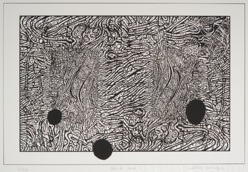 BLACK HOLES, from the Organic Works on Paper series