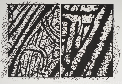 SCRIBBLE AND SPACE, from the Organic Works on Paper series