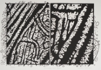 SCRIBBLE AND SPACE, from the Organic Works on Paper series