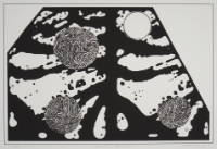 GEOMETRIC SPACE # 1, from the Organic Works on Paper series