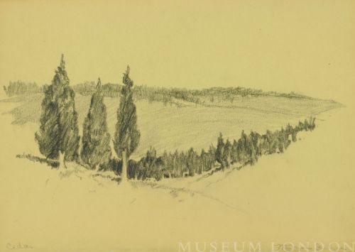 CEDAR