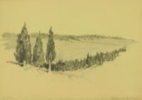CEDAR