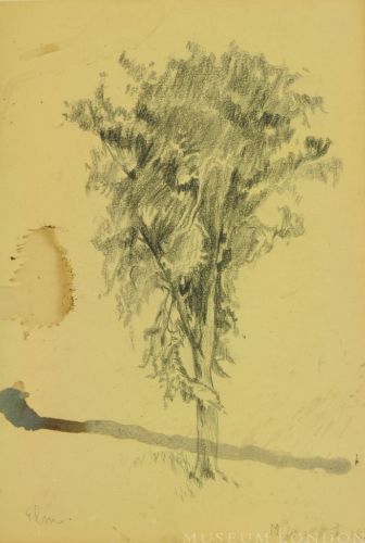 ELM