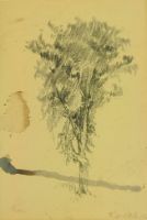 ELM