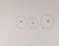 Untitled (contour drawing of oranges)