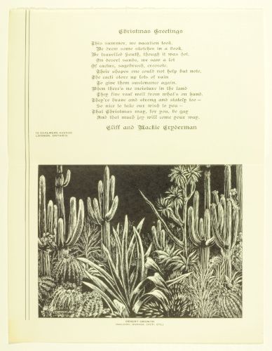 Desert Growth (Saguaro, Bisnaga, Cacti, Etc.)