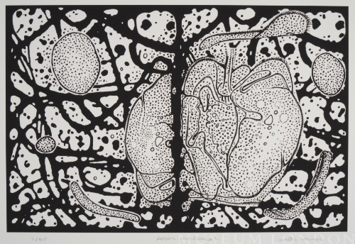 PEPPER INTO SPACE #2, from the Organic Works on Paper series