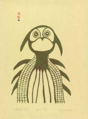 STARTLED OWL
