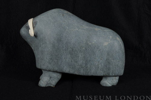 MUSKOX