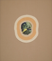 UNKNOWN LANDSCAPE VII