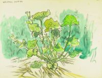 UNTITLED LANDSCAPE STUDY