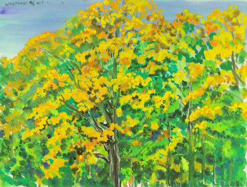 UNTITLED LANDSCAPE STUDY