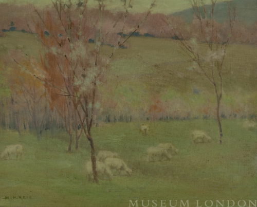 SHEEP PASTURE - EARLY SPRING