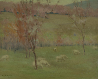 SHEEP PASTURE - EARLY SPRING