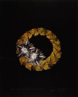 BEAN WREATH WITH BLOSSFELDT GRASS OF PARNASSUS (AFTERLIFE SERIES)