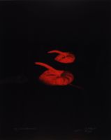 RED ANTHERIUMS 1 (AFTERLIFE SERIES)