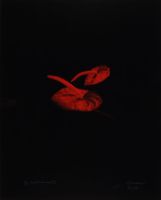 RED ANTHERIUMS 3 (AFTERLIFE SERIES)