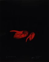 RED ANTHERIUMS 4 (AFTERLIFE SERIES)