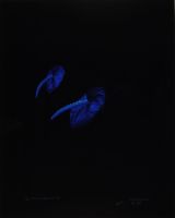 BLUE ANTHERIUMS 2 (AFTERLIFE SERIES)