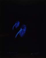 BLUE ANTHERIUMS 3 (AFTERLIFE SERIES)
