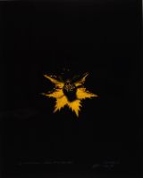 GIANT ERYNGO, AFTER BLOSSFELDT (YELLOW)(AFTERLIFE SERIES)