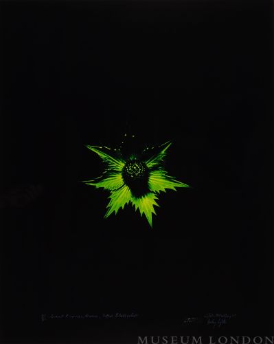 GIANT ERYNGO, AFTER BLOSSFELDT (GREEN) (AFTERLIFE SERIES)