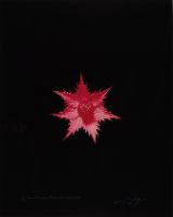 GIANT ERYNGO, AFTER BLOSSFELDT (PINK) (AFTERLIFE SERIES)