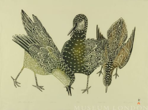 THREE SHORE BIRDS