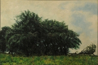 REGENERATING TREES