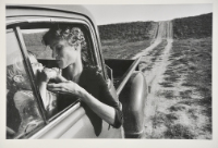 The Pear, Lambton County, Ontario Canada, 1983